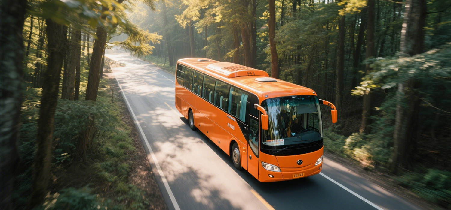 Bus Bus