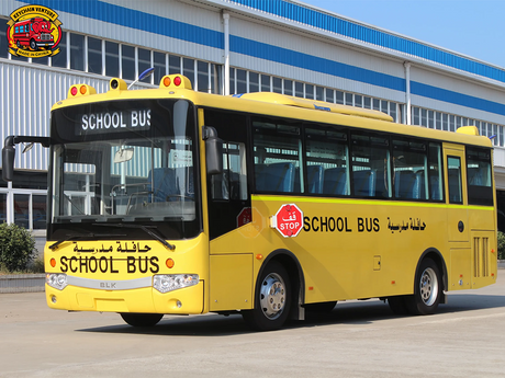 SCHOOLEX