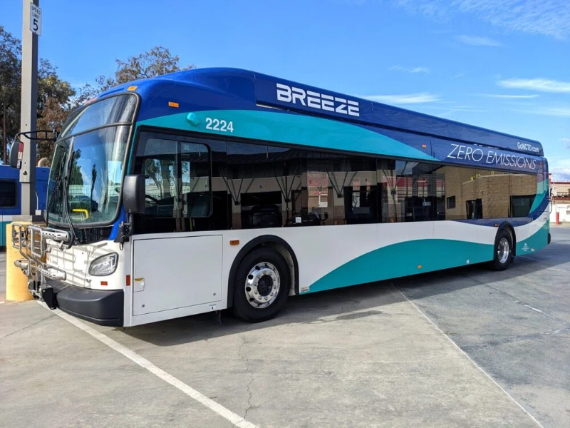 Octa 50