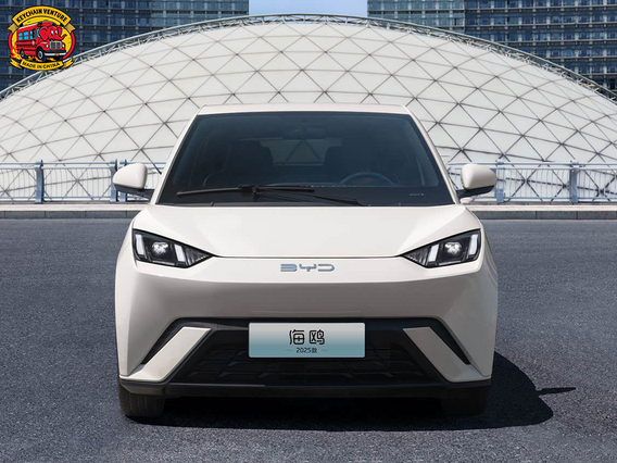 BYD Seagull