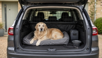 //iororwxhkmnrlp5p.ldycdn.com/cloud/pqBplKlolnSRqlqjlrrlkq/Dog-Friendly-Suv-Boot-Setup.jpg